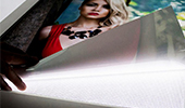 02-Backlit.jpg